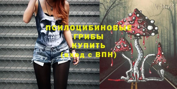 соль ск Осинники