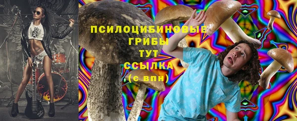 СК Фурманов